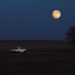 Сайд-Эми Вахидов, 13.02.1998