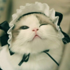 Аня Кузнецова, 06.05.1999, Москва