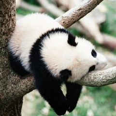 Вадим Аубакиров, 01.04, Уфа