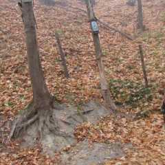 Ева Донская, 02.03, Киев