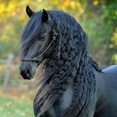 Оксана Новикова, 10.09, Киев