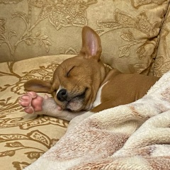 Евгения Андреева, 22.12, Санкт-Петербург