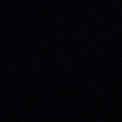 Mohieddine Bengharbi, 20.09, Djelfa