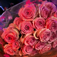 Марина Ханина, 13.05.1988, Москва