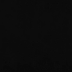 Сергей Нэт, 17.01.1901, Москва