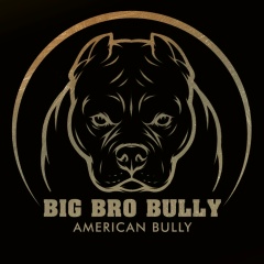 Татьяна Биг Бро Булли, 30.03.1991, Москва