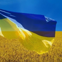 Сергей Васильев, Vancouver