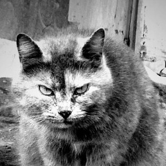 Мурат Кайцуков, 13.12, Нальчик