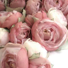 Анна Голованова, Москва