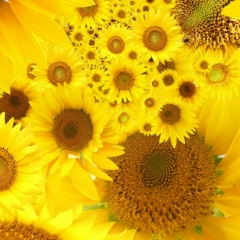 Елена Тутаева, 04.08