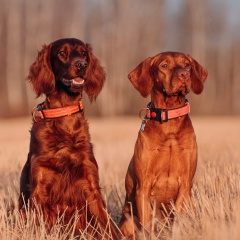 Катерина Кобрина, 05.11