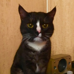 Шурик Sc, 16.02.1990, Санкт-Петербург