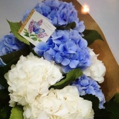 Елена Федорец, 16.06.1975, Москва