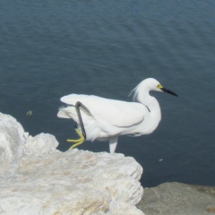 Harold Ivanovich, 02.10.1965, Barranquilla