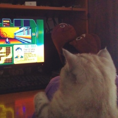 Shoo Brick, Бишкек