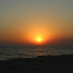 Ирина Полстяная, Москва