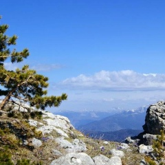 Рома Шохтов, 20.04, Майкоп