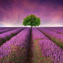 Юлия Табета, 11.07