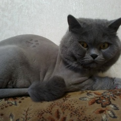 Лола Руслякова, 11.04.1983, Харьков