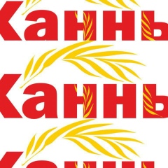 Αнна Κонстантинова, Шымкент