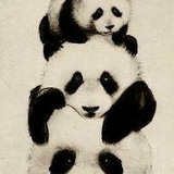 Зарина Каримуллина, 08.10, Уральск