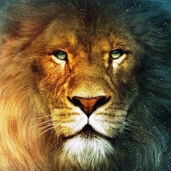 Тёма Васянкин, Москва