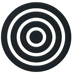 Александр Гончаров, Воронеж