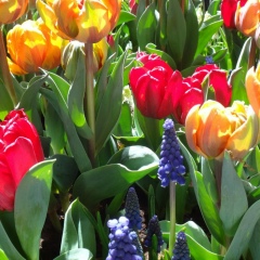 Юлия Телюк, 10.04.1982, Санкт-Петербург