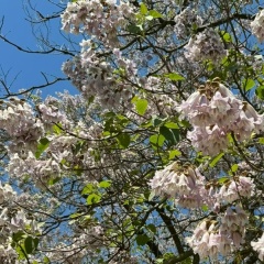 Ксения Цветкова, 11.08.1983