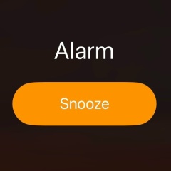 Несейчас Несегодня, 04.03.2008, Санкт-Петербург