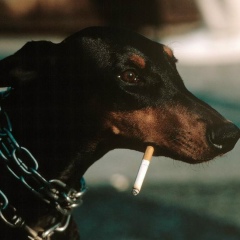 Алексей Холод, 20.12.1984