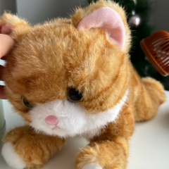 Нуршат Дошекенова, 02.03.1991, Астана