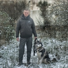 Александр Бор, Новоозерное