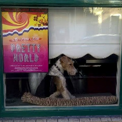 Елена Блиновская