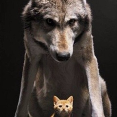 Наталия Наталия, 17.12.1979, Николаев