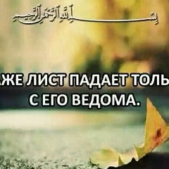 Юлия Макаренко, Киев