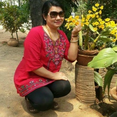 Mi-Mi Aung, 21.09.1969