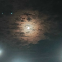 Наргиза Хуснутдинова, 18.04.2000, Сургут