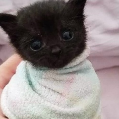 Александра Паршина, 26.02.1999, Новосибирск