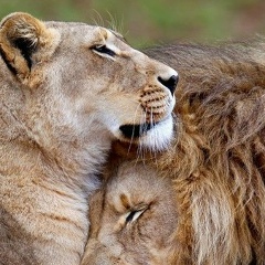 Мейiрхан Байдуйсен, 30.07.1995, Кентау