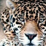 Darina Darina, 02.10, Москва