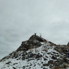 Леонид Логинов, 07.06.1984, Воркута