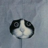 Юлия Балашова, 15.07.1982