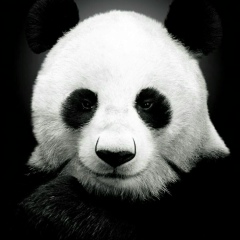 Ленар Мансуров, Москва