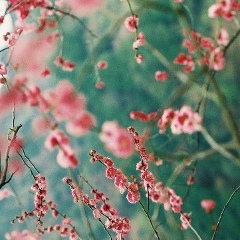 Дана Калиева, 11.06, Алматы