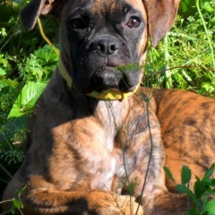 Татьяна Никифорова, 19.09.1972, Омск