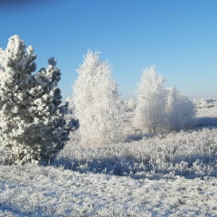 Марина Чилимова, 05.12, Казань