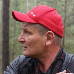 Илья Сергеевич