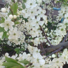 Алия Батыршина, 16.06.1987, Уфа