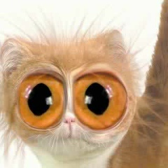 Анютка Сухоручкина, 02.02, Ярославль